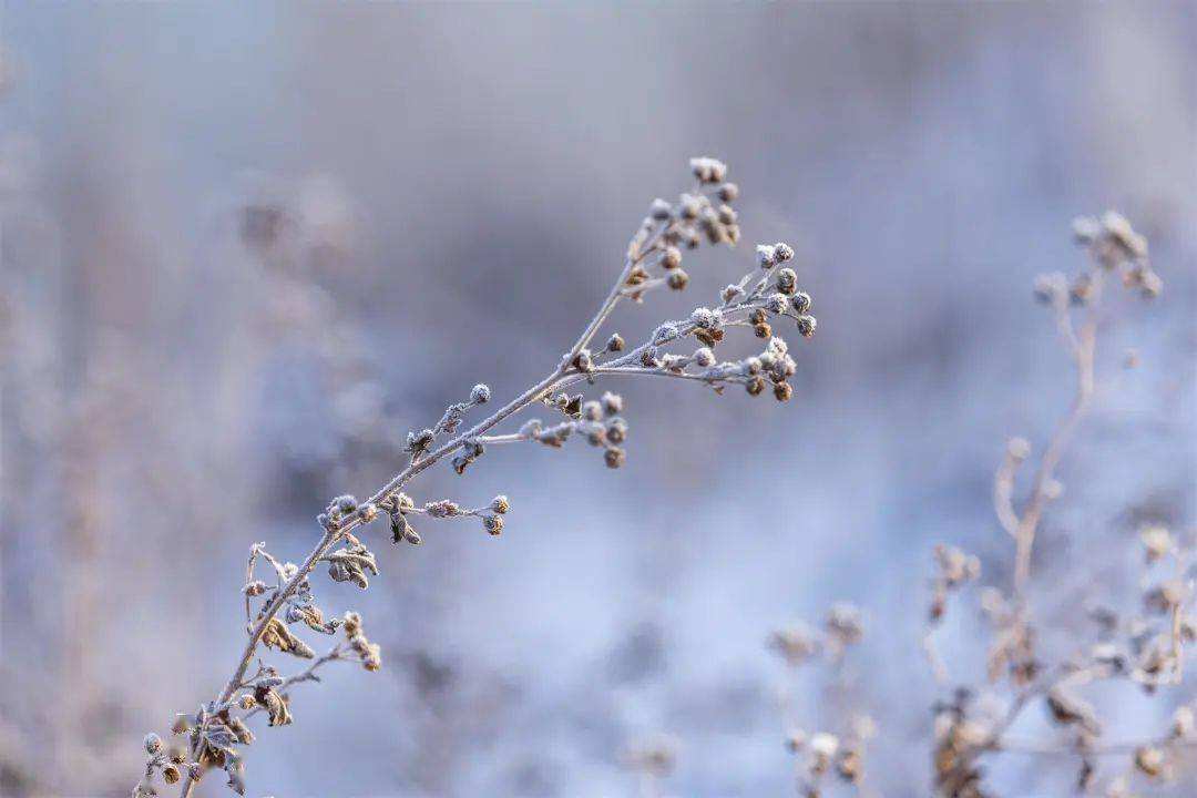 小雪 ▎冬藏萬(wàn)物，歲月沉香